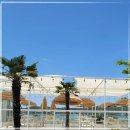 꽃피는 전복식당2 이미지