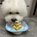 까까가개 이미지