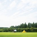 장흥숲길캠핑장 이미지