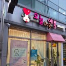 오늘DOG예쁨 이미지