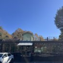 운동장길R | 강아지와 함께하는 홍천여행 2 소근리막국수 스타벅스 더북한강R점