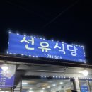 선유식당 | 📍 [제주 맛집] 내 인생 버킷리스트 '무늬오징어' 영접! 소금만 찍어도 달달한 '선유식당' 후기