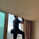 지엘리베리움 이미지