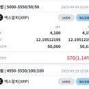 리플애드 | 리플시세 따라가는 스플릿 엑스알피 투자 2개월 후기