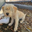 마이산다옴펜션 이미지