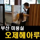 오제헤아루 네이버블로그