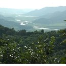 대광농장 이미지