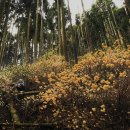 24시동물병원 이미지