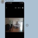 재키애견 이미지