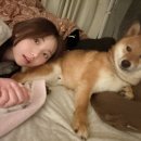 동글동글 네이버블로그