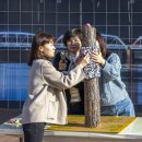 석적읍사무소 이미지