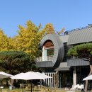 은행나무1길 | 나주 카페 GGT POT 가을에 가기 좋은 은행나무 수목원