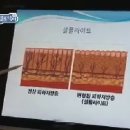 헬로닥터