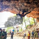 리드(lead) 이미지