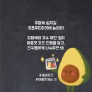 코튼마켓 이미지