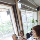 서울 흰둥이들의~~ 이미지