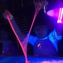 키즈포레유치원 이미지