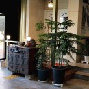 제주미주호텔 이미지