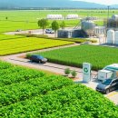 녹색환경개발 이미지