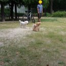 신세계무도장 이미지