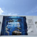 THE바다 | 홍천 가볼만한곳 홍천미술관 전시 후기｜UNDER THE SEA 바다 속으로, 꿈의 공간과 또는 알람의 시간공간