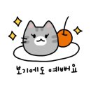르솔레이글로벌