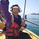 청정거제연구소 | 거제 학동몽돌해수욕장 체험 배낚시 후기(6월2일)