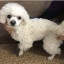 온천천관리사무소 이미지