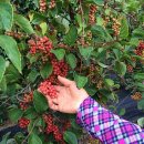 갈마농원 이미지