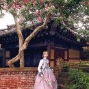 선의 빛 이미지