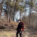 롯데쇼핑(주)대전점 | 여자 등산화 추천 : 네파 칸네토 트랙션 맥스 고어텍스