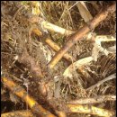 보금농장 이미지