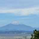 동일택시(주) | 안양 의왕 인천공항 새벽 콜택시 왕복 후기 가격