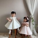 더카멜리아