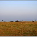 신풍목장 이미지