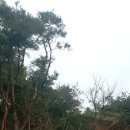 양광모농장 이미지