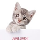 헤어스핑스
