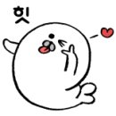 그레이스폴스튜디오 네이버블로그
