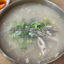 [경남/진주] 오래뜰 칼국수 | 진주 칼국수 | 초전동 식당 | 초전동 음식점 | 진주맛집 🍜