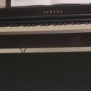 연주호프 이미지