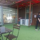 꼬리살랑 이미지