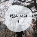 25년 1월 첫번째 : 해피뉴이어