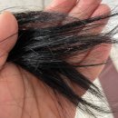 예은플라워 | 로픈 트리트먼트추천, 극손상모 살린 바오밥트리트먼트 솔직후기!