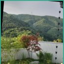 스테이 누누 이미지