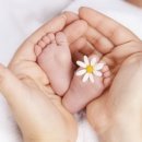 아이데코안경 이미지