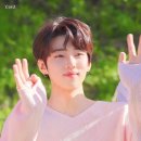 홀리몰리 이미지