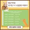목동키국영수장기동4캠퍼스학원