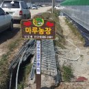 마루농장2 이미지