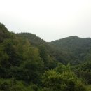 정촌면-2 이미지