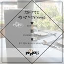 뻬뽈리(peppoli) 이미지